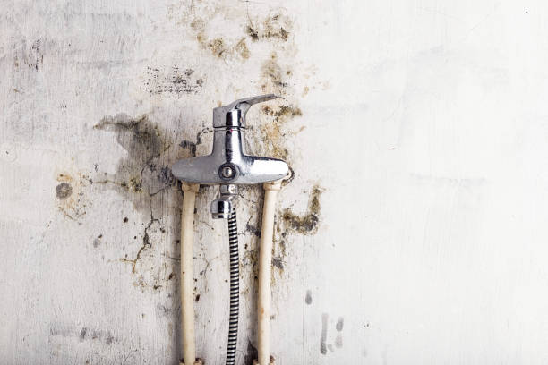 Best Water Damage Restoration  in Bear Rocks, PA