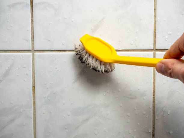 Best Mold Cleaning Services  in Bear Rocks, PA