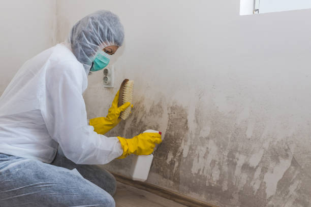 Water Damage Restoration in Bear Rocks, PA
