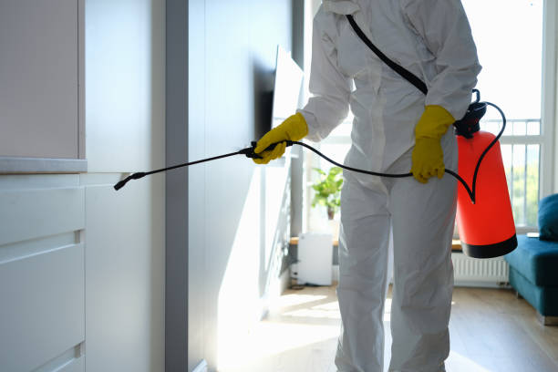 Best Toxic Mold Removal  in Bear Rocks, PA